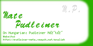 mate pudleiner business card